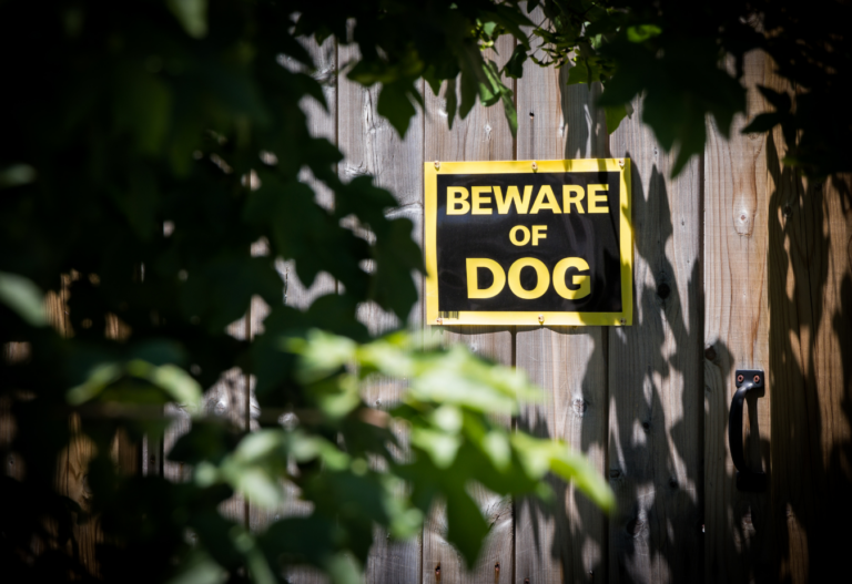 sign on a wooden post fence that reads "beware of dog" in yellow lettering on black background