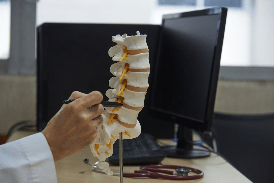 a person in a white coat pointing with a pen at a model of the human spine