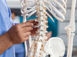 Spinal cord injury case spinal cord injury