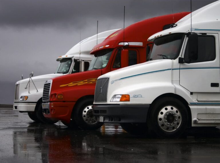 Three semi-trucks—white, red, and white with blue stripes—parked side by side on a wet asphalt surface under cloudy skies.