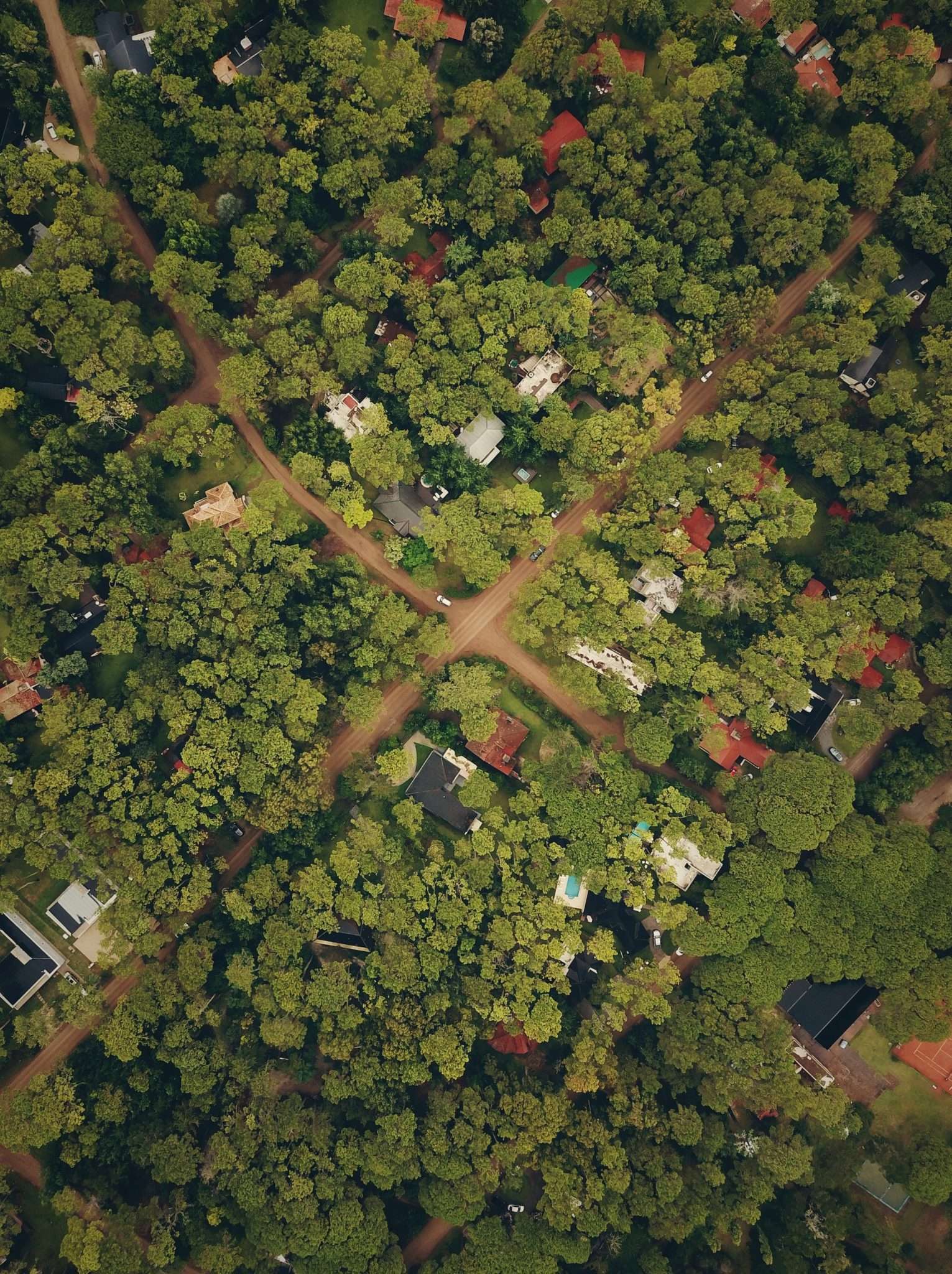 overhead view of a small neighborhood with trees and a four way intersection