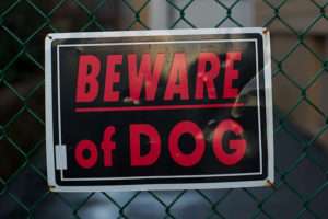 Dogs sign board
