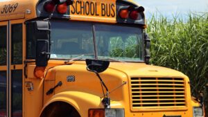 school bus front
